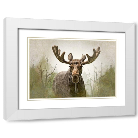 Moose in the Woodland Forest White Modern Wood Framed Art Print with Double Matting by Schell, Jennie Marie