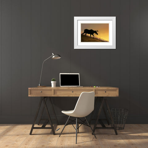 Moose Walking Silhouette White Modern Wood Framed Art Print with Double Matting by Schell, Jennie Marie