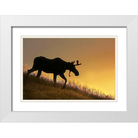 Moose Walking Silhouette White Modern Wood Framed Art Print with Double Matting by Schell, Jennie Marie