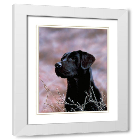 Js75-B White Modern Wood Framed Art Print with Double Matting by Silver, John