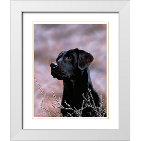 Js75-B White Modern Wood Framed Art Print with Double Matting by Silver, John