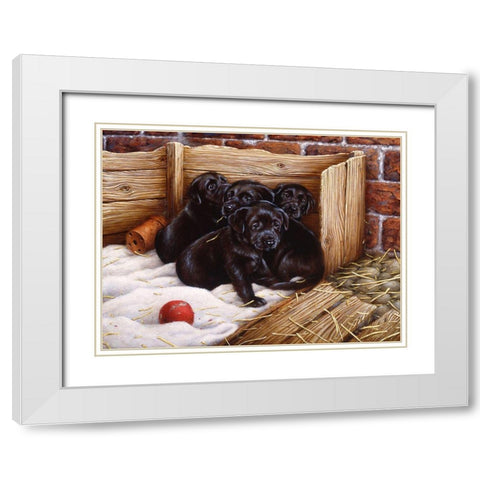 Js67-A White Modern Wood Framed Art Print with Double Matting by Silver, John