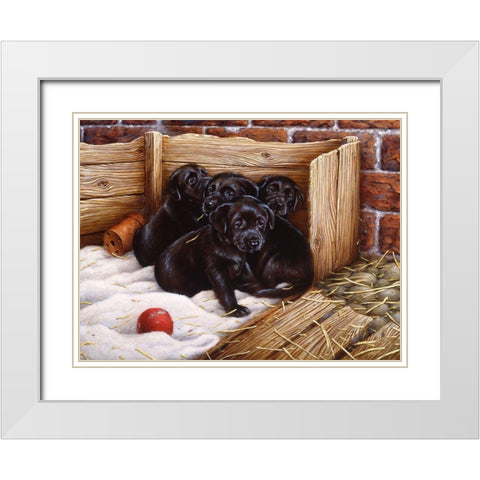 Js67-A White Modern Wood Framed Art Print with Double Matting by Silver, John