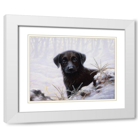 Js64-A White Modern Wood Framed Art Print with Double Matting by Silver, John