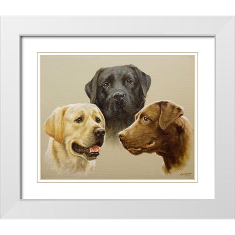 136 White Modern Wood Framed Art Print with Double Matting by Silver, John