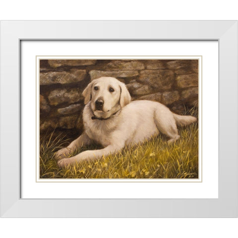 320 White Modern Wood Framed Art Print with Double Matting by Silver, John