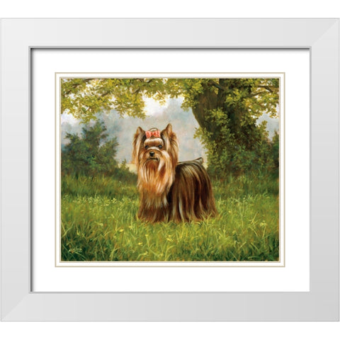 Js117-A White Modern Wood Framed Art Print with Double Matting by Silver, John
