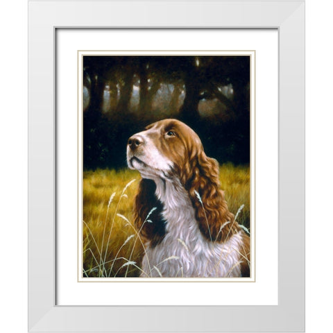 Js114-B White Modern Wood Framed Art Print with Double Matting by Silver, John