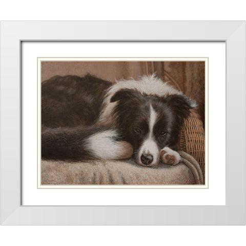 396 Border Collie White Modern Wood Framed Art Print with Double Matting by Silver, John