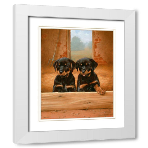 Jsm22- B White Modern Wood Framed Art Print with Double Matting by Silver, John