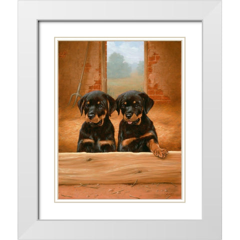 Jsm22- B White Modern Wood Framed Art Print with Double Matting by Silver, John