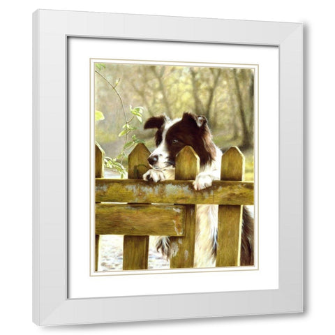 Jsm29-A White Modern Wood Framed Art Print with Double Matting by Silver, John