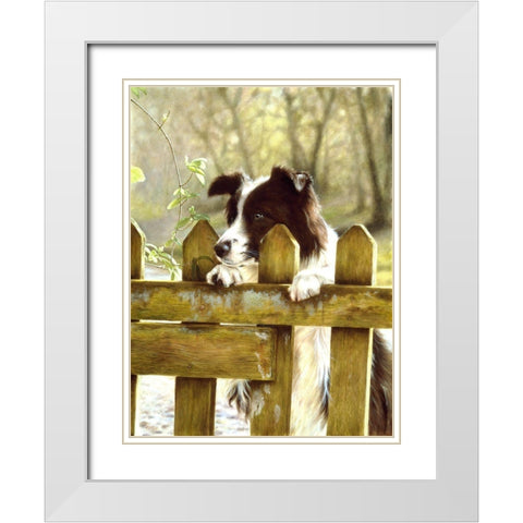 Jsm29-A White Modern Wood Framed Art Print with Double Matting by Silver, John