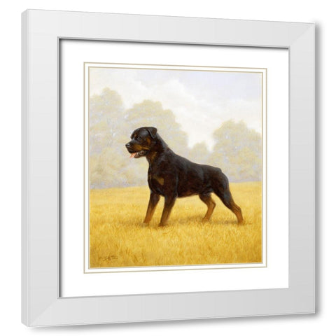 Jsm35-B White Modern Wood Framed Art Print with Double Matting by Silver, John