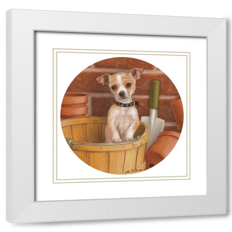 Chihuahua In Basket White Modern Wood Framed Art Print with Double Matting by Silver, John