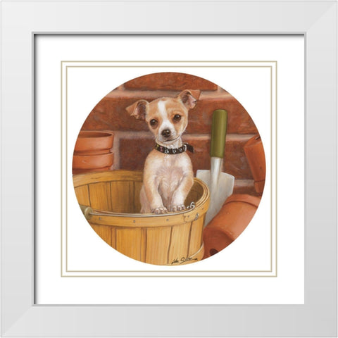 Chihuahua In Basket White Modern Wood Framed Art Print with Double Matting by Silver, John