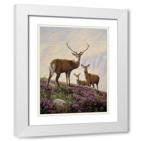 Js29-B White Modern Wood Framed Art Print with Double Matting by Silver, John