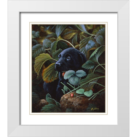 Js35-C White Modern Wood Framed Art Print with Double Matting by Silver, John