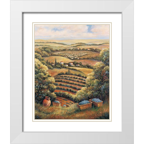 Valley C White Modern Wood Framed Art Print with Double Matting by Zaccheo, John