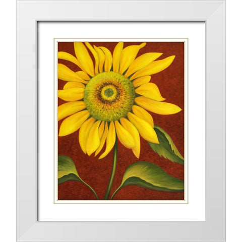 Sunflower White Modern Wood Framed Art Print with Double Matting by Zaccheo, John