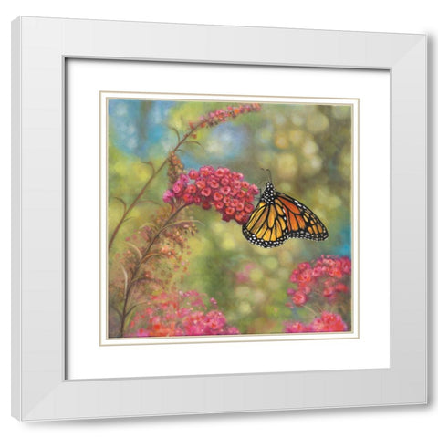 Monarch Butterfly White Modern Wood Framed Art Print with Double Matting by Zaccheo, John