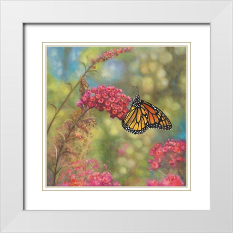 Monarch Butterfly White Modern Wood Framed Art Print with Double Matting by Zaccheo, John