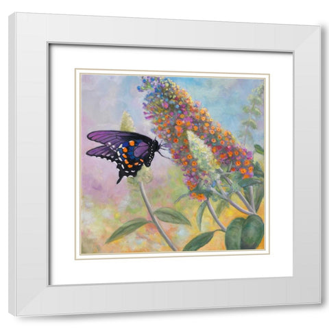 Admiral Butterfly White Modern Wood Framed Art Print with Double Matting by Zaccheo, John