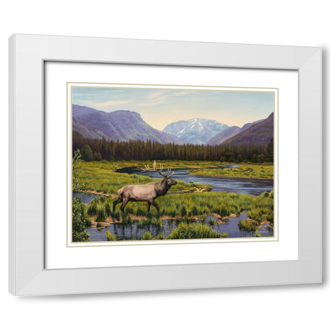 Meadows of Grand Lake, Colorado White Modern Wood Framed Art Print with Double Matting by Zaccheo, John