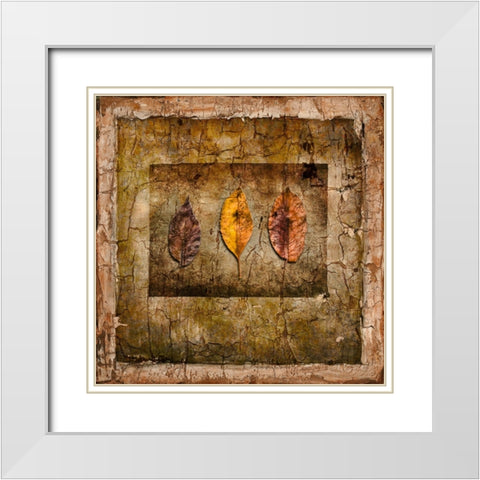 Autumn Leaves I White Modern Wood Framed Art Print with Double Matting by LightBoxJournal