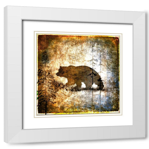 High Country Bear White Modern Wood Framed Art Print with Double Matting by LightBoxJournal