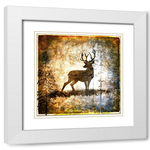 High Country Deer White Modern Wood Framed Art Print with Double Matting by LightBoxJournal
