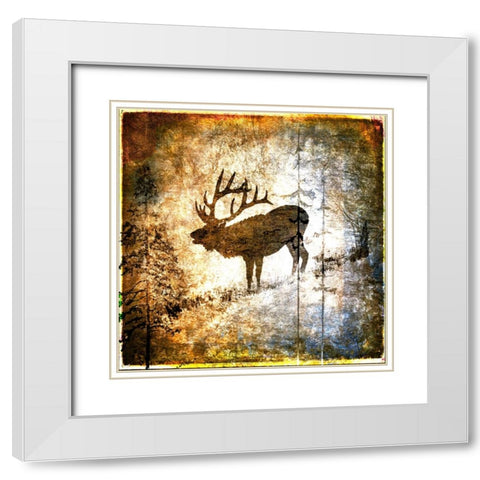 High Country Elk White Modern Wood Framed Art Print with Double Matting by LightBoxJournal
