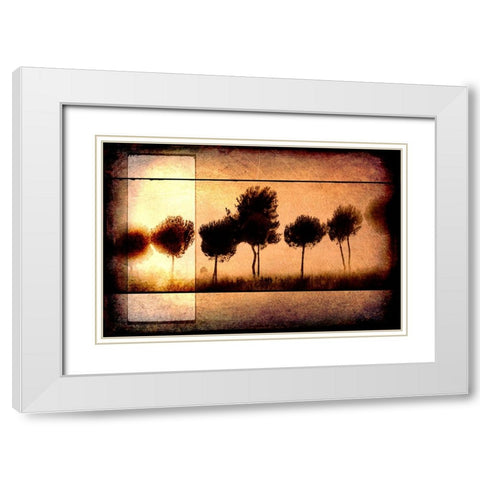 For the Love of Trees I White Modern Wood Framed Art Print with Double Matting by LightBoxJournal