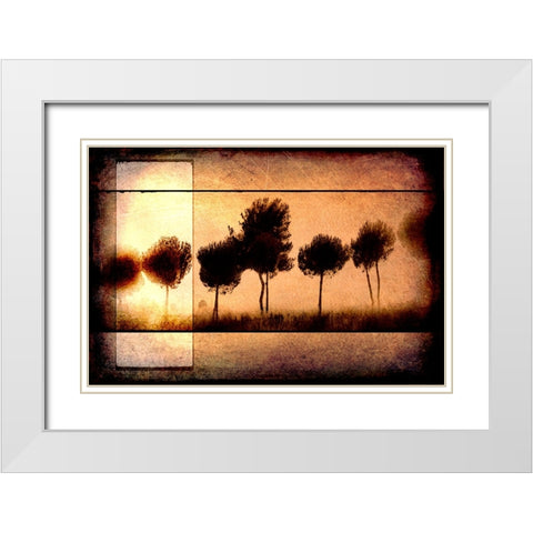 For the Love of Trees I White Modern Wood Framed Art Print with Double Matting by LightBoxJournal