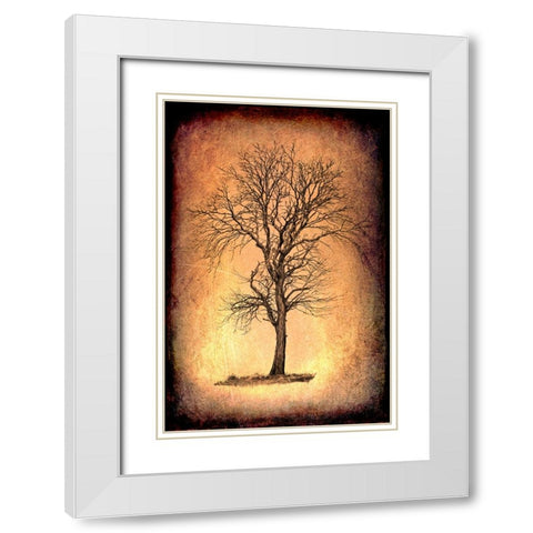 For the Love of Trees II White Modern Wood Framed Art Print with Double Matting by LightBoxJournal