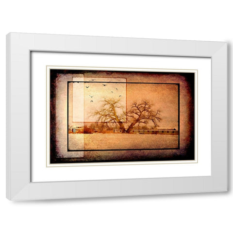 For the Love of Trees V White Modern Wood Framed Art Print with Double Matting by LightBoxJournal