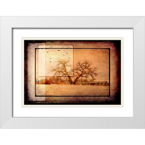 For the Love of Trees V White Modern Wood Framed Art Print with Double Matting by LightBoxJournal