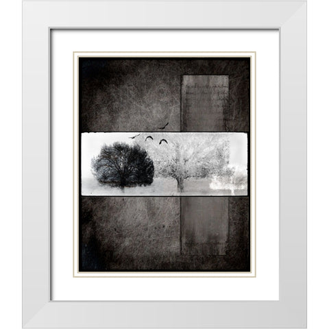 Black Tree 1 White Modern Wood Framed Art Print with Double Matting by LightBoxJournal