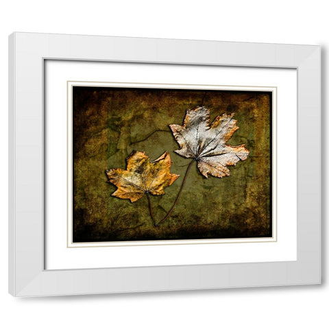 Metallic Leaf 2 White Modern Wood Framed Art Print with Double Matting by LightBoxJournal