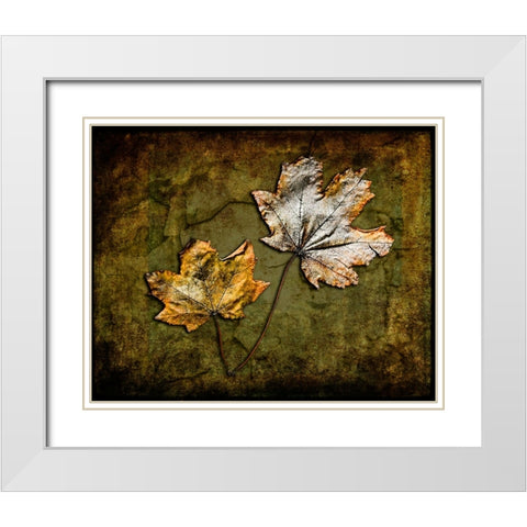 Metallic Leaf 2 White Modern Wood Framed Art Print with Double Matting by LightBoxJournal