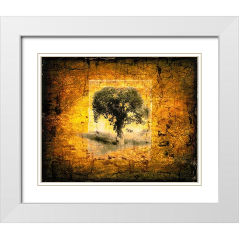 Shadow Trees White Modern Wood Framed Art Print with Double Matting by LightBoxJournal