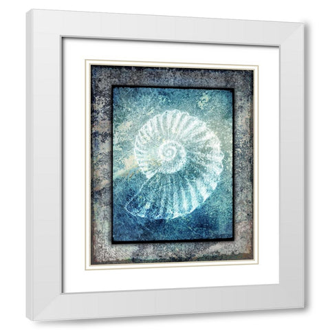 Hello Beach Shell I White Modern Wood Framed Art Print with Double Matting by LightBoxJournal
