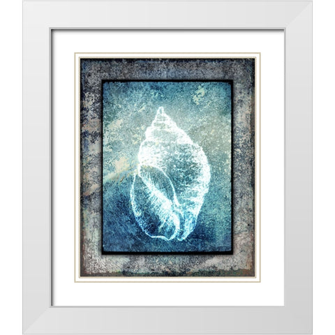 Hello Beach Shell II White Modern Wood Framed Art Print with Double Matting by LightBoxJournal