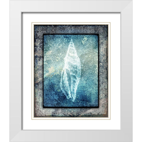 Hello Beach Shell III White Modern Wood Framed Art Print with Double Matting by LightBoxJournal