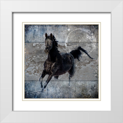 Black Mare 1 White Modern Wood Framed Art Print with Double Matting by LightBoxJournal