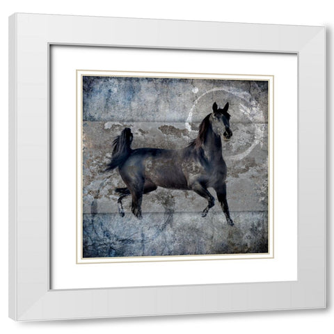 Black Mare 2 White Modern Wood Framed Art Print with Double Matting by LightBoxJournal