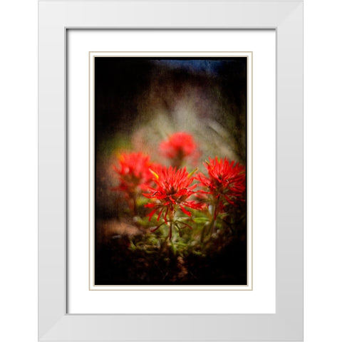 Desert Flower 1 White Modern Wood Framed Art Print with Double Matting by LightBoxJournal