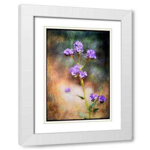 Desert Flower 2 White Modern Wood Framed Art Print with Double Matting by LightBoxJournal