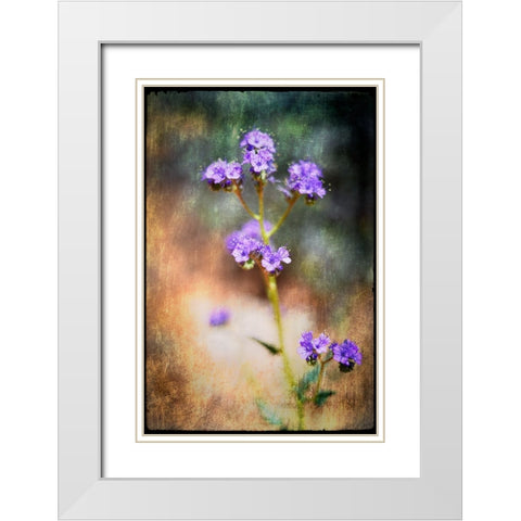 Desert Flower 2 White Modern Wood Framed Art Print with Double Matting by LightBoxJournal