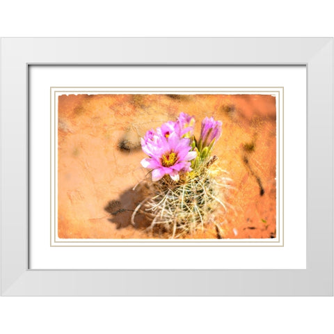 Desert Flower 4 White Modern Wood Framed Art Print with Double Matting by LightBoxJournal